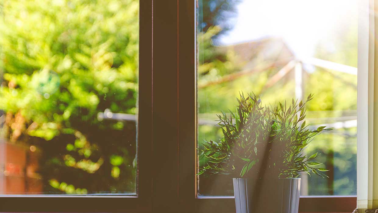 Fenster mit Blick in den Garten bei Sonnenschein